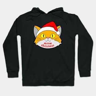 Funny Cute Cat Celebrate Christmas Hoodie